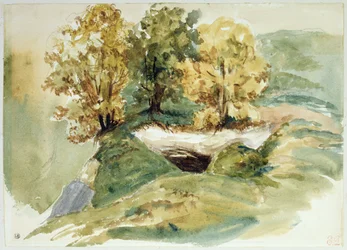 Three trees at the edge of a hill